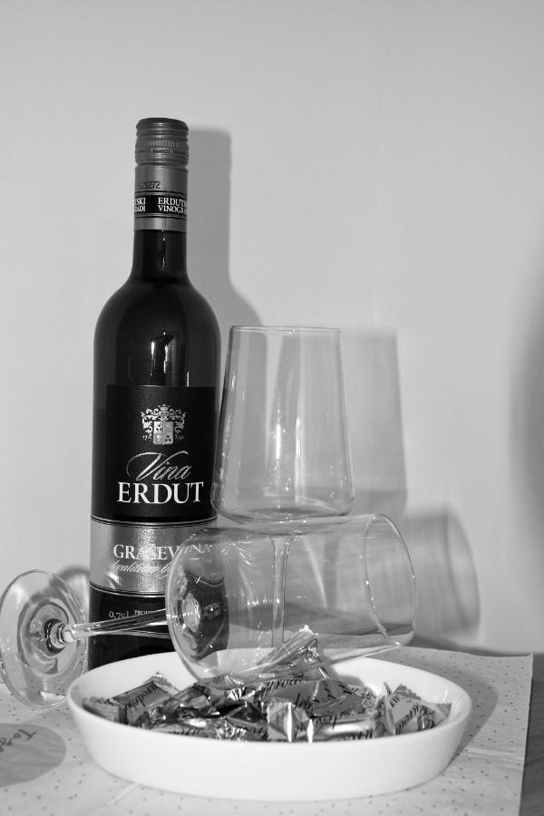 Harmony Apartment Sombor